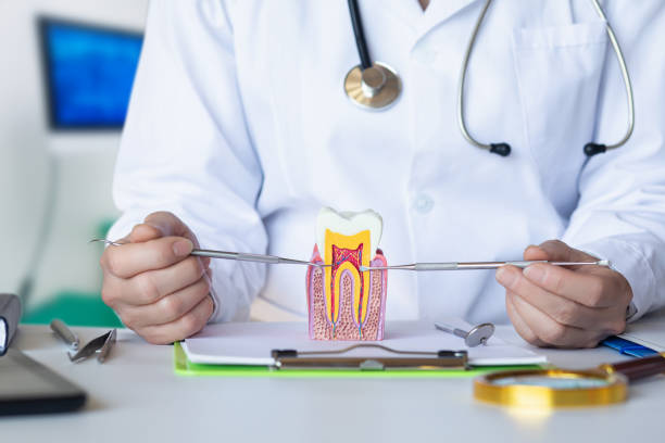 Best Emergency Root Canal Treatment in Alamo, TX